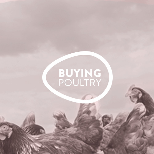 Buying Poultry