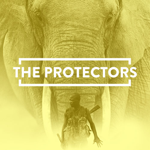 The Protectors: A Walk in the Rangers’ Shoes